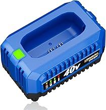 DSANKE 40V Battery Charger Compatible with Kobalt 40V Max Lithium Batteries – Fast Charger Replacement for KRC 40-06 & KRC 40-08 (Not for 80V or 24V Models)