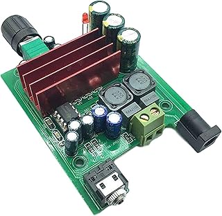 Mautacly TPA3116D2 100W Subwoofer Power Amplifier Board Digital Power Amplifier