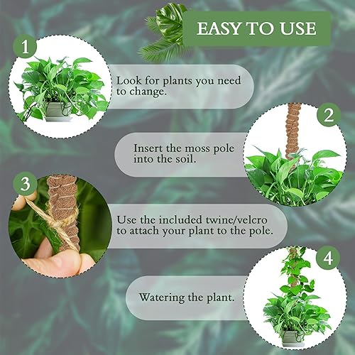 Miniatura 3 de Paquete de 2 postes de musgo de coco de 25 pulgadas para plantas trepadoras de interior, soporte de plantas hecho a mano para enredaderas para