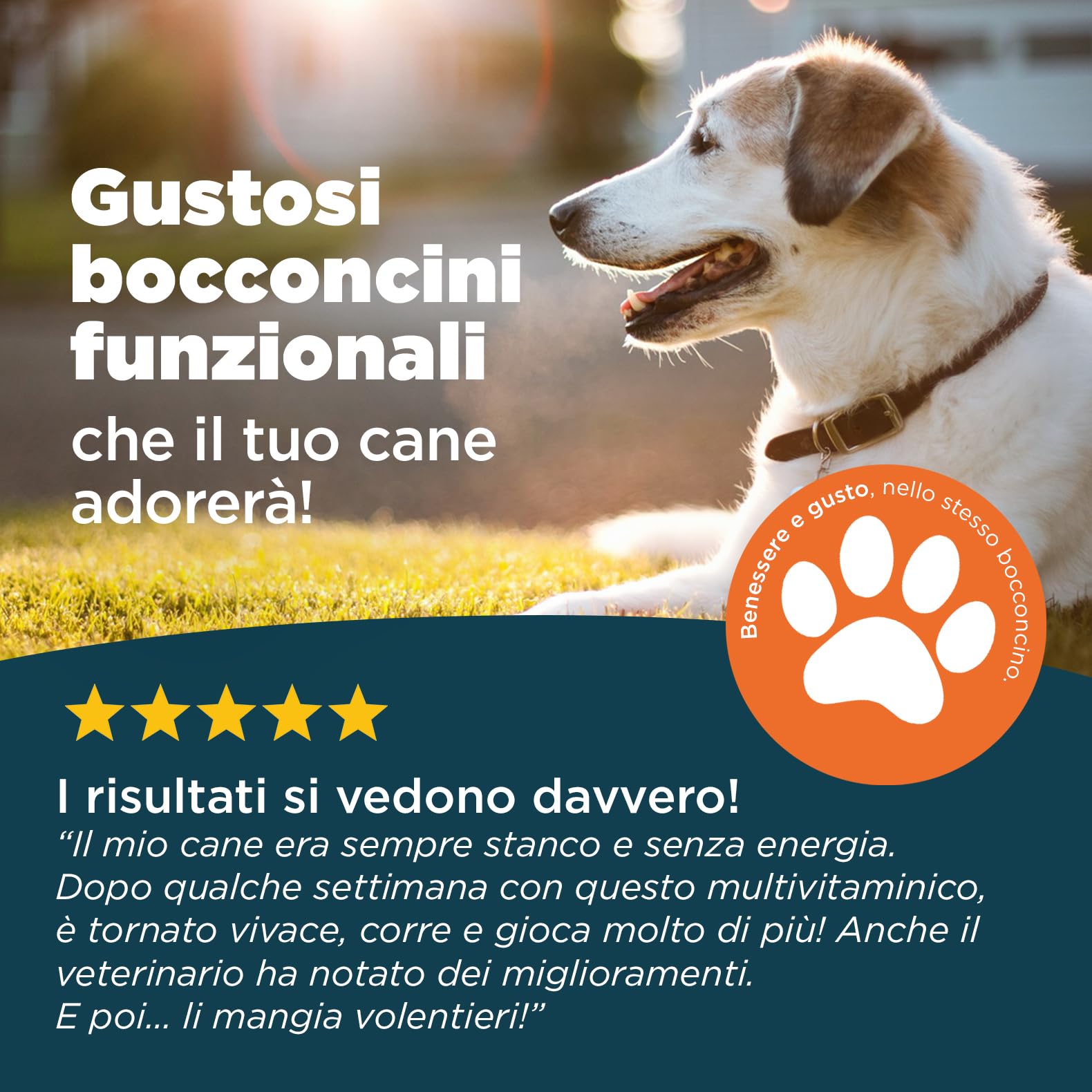 Multivitaminico per Cani 25 in 1 | Integratore Naturale Completo con Vitamine e Minerali | Supporto Immunitario, Energia, Pelo, Articolazioni |100 Bocconcini Gusto Manzo