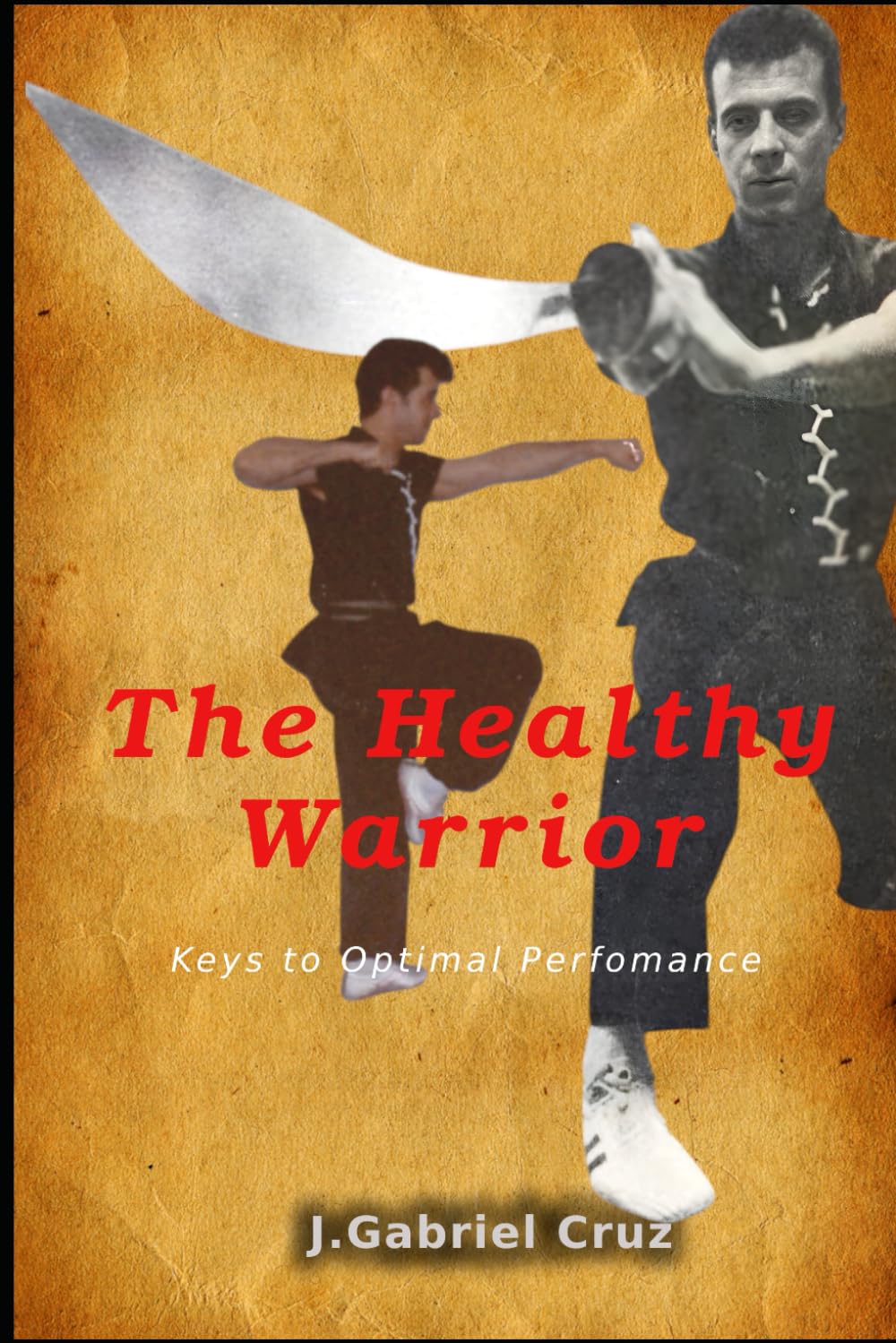 The Healthy Warrior: Keys to optimal perfomance (The Praying Mantis Kung Fu Gaby's Way)