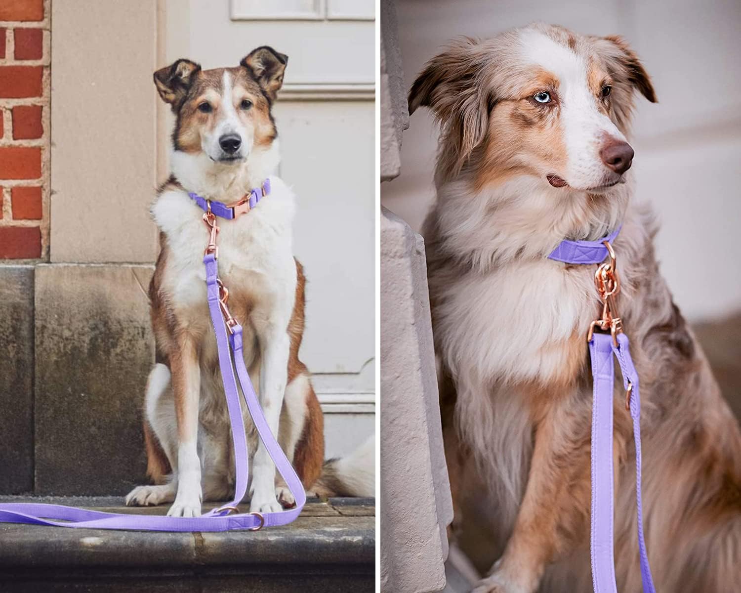 Soft Leather Dog Collar and Leash (6.6') Set - Stylish Rose Gold Heavy Duty Metal Buckle, 4 Adjustable Lengths Leash for Small Medium Large Dogs - Comfortable & Easy to Clean (L, Light Purple)