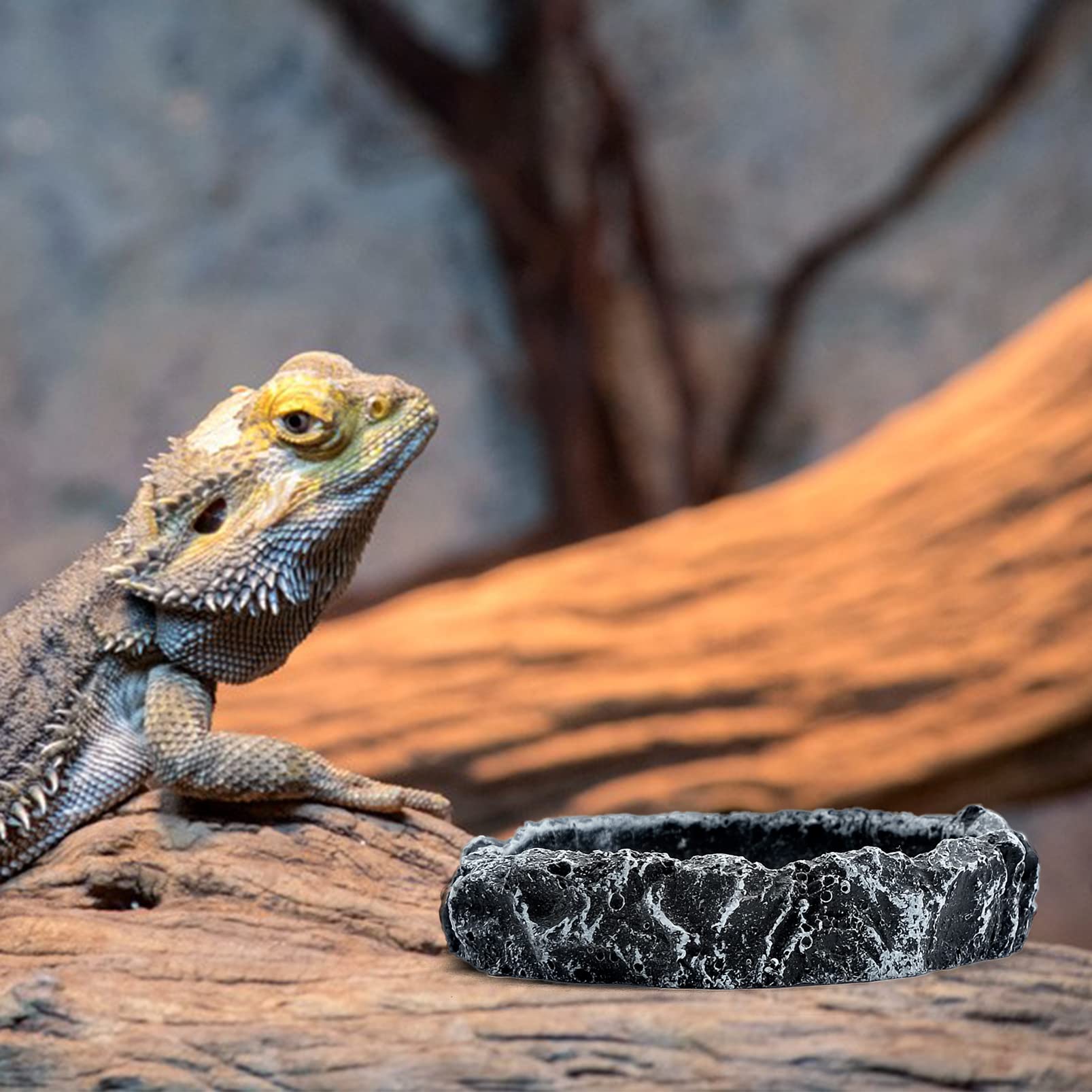 2 Pièces Bols à Eau pour Reptiles, Mangeoire pour Tortue, Bac à Eau en Résine pour Gecko Lézard Caméléon Serpent