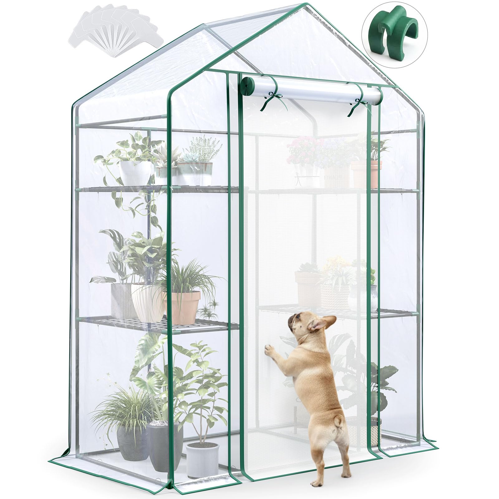 Quictent Essential Walk-in Greenhouse for Outdoors, 56x29x77 inch Portable 3-Tier 4-Shelf Garden Hot House Kit with Plastic Cover for Winter Seed Starting Plant Protection Backyard Patio, Clear