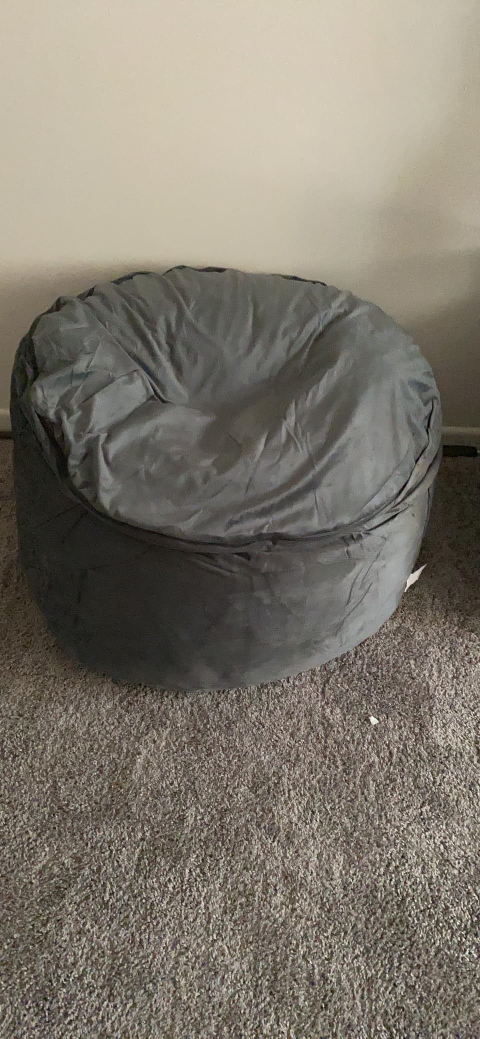 Bean Bag Chairs for Adults - Memory Foam Furniture BeanBag Chair - Kids/Teens Sofa with Soft Micro Fiber Cover photo review