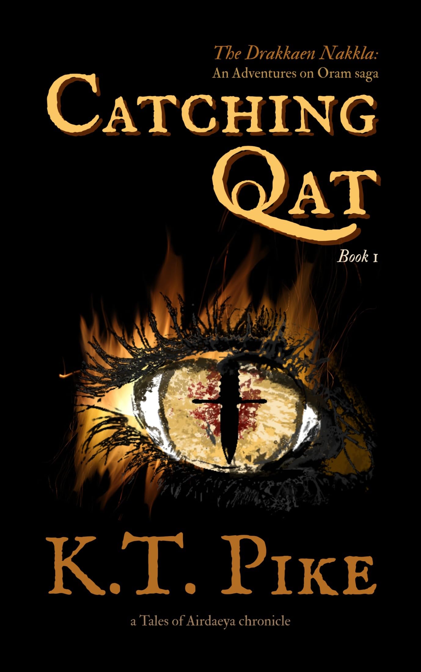 Catching Qat: A Found Family Epic Fantasy Adventure for TTRPG Fans (Drakkaen Nakkla Book 1)