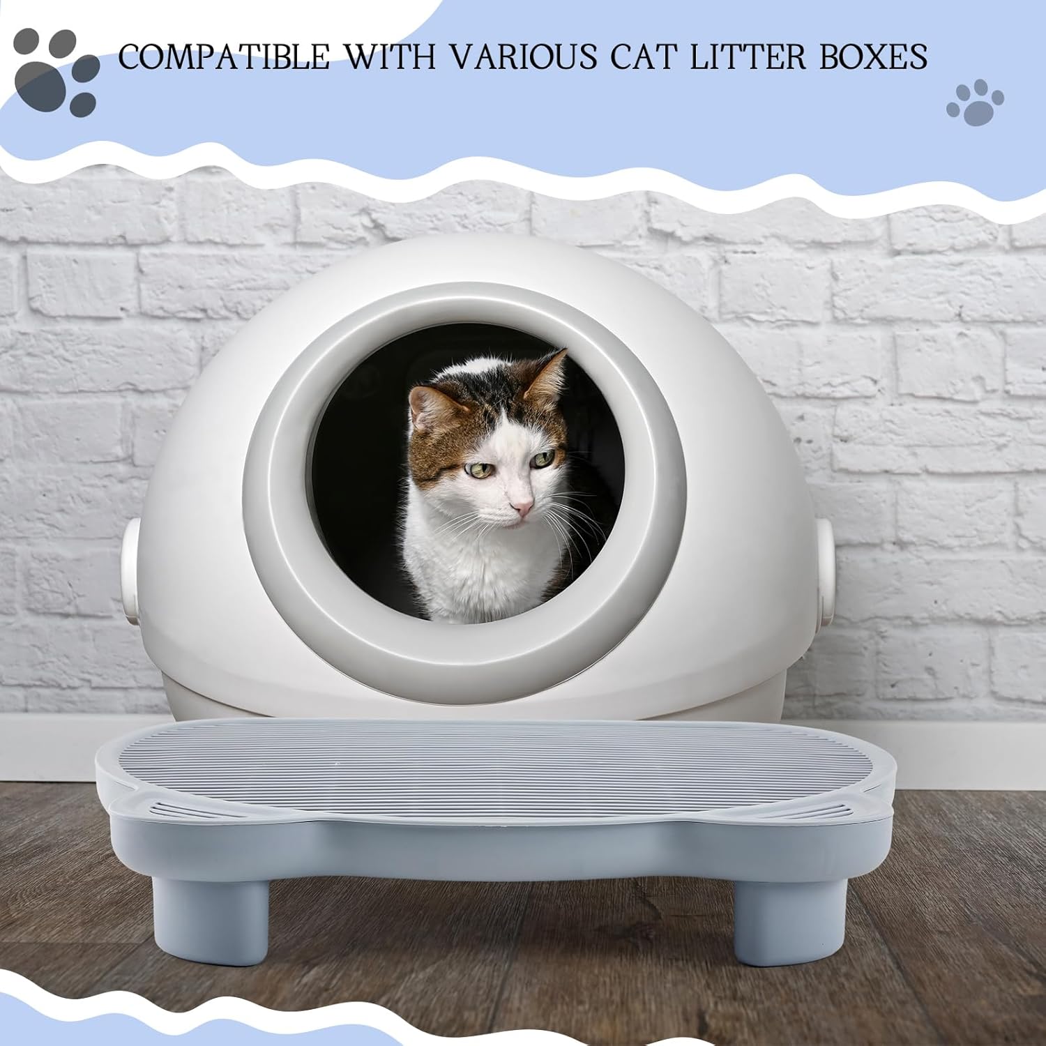 https://m.media-amazon.com/images/I/71D4T+PxZJL._AC_SL1500_.jpg
