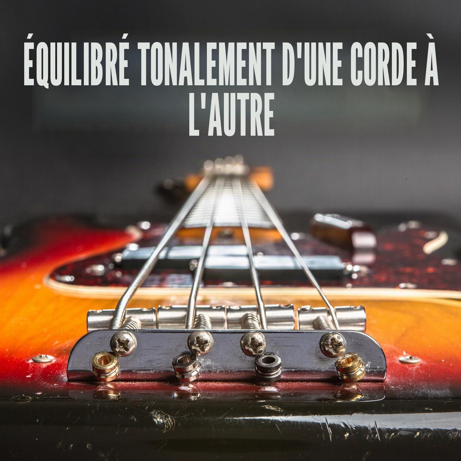 Dunlop Bass Nickel Wound DBN45125XL Jeu de cordes basses, 5 cordes, moyen.045 "-. 125 pouces, échelle très longue