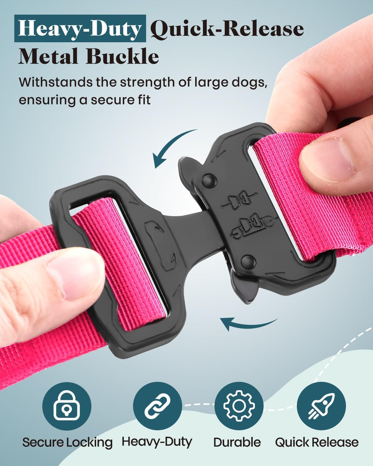 Dog Collar and Leash Set, 6-8 FT Bungee Leash, Heavy Duty 2 in Wide Collar for Large Dogs, with A Dog Poop Bag Holder for Leashes