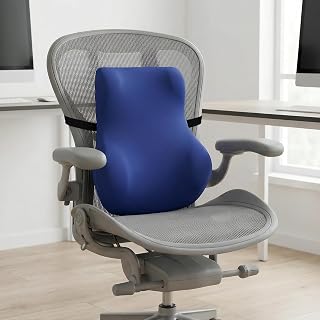 SleepyCat Pro Back Cushion | Targeted Lumbar Support | Perforated Memory Foam | Premium Washable Nylon Cover | Adjustable Elastic Strap | Back Pain Relief | Office Car Home Chair | Blue
