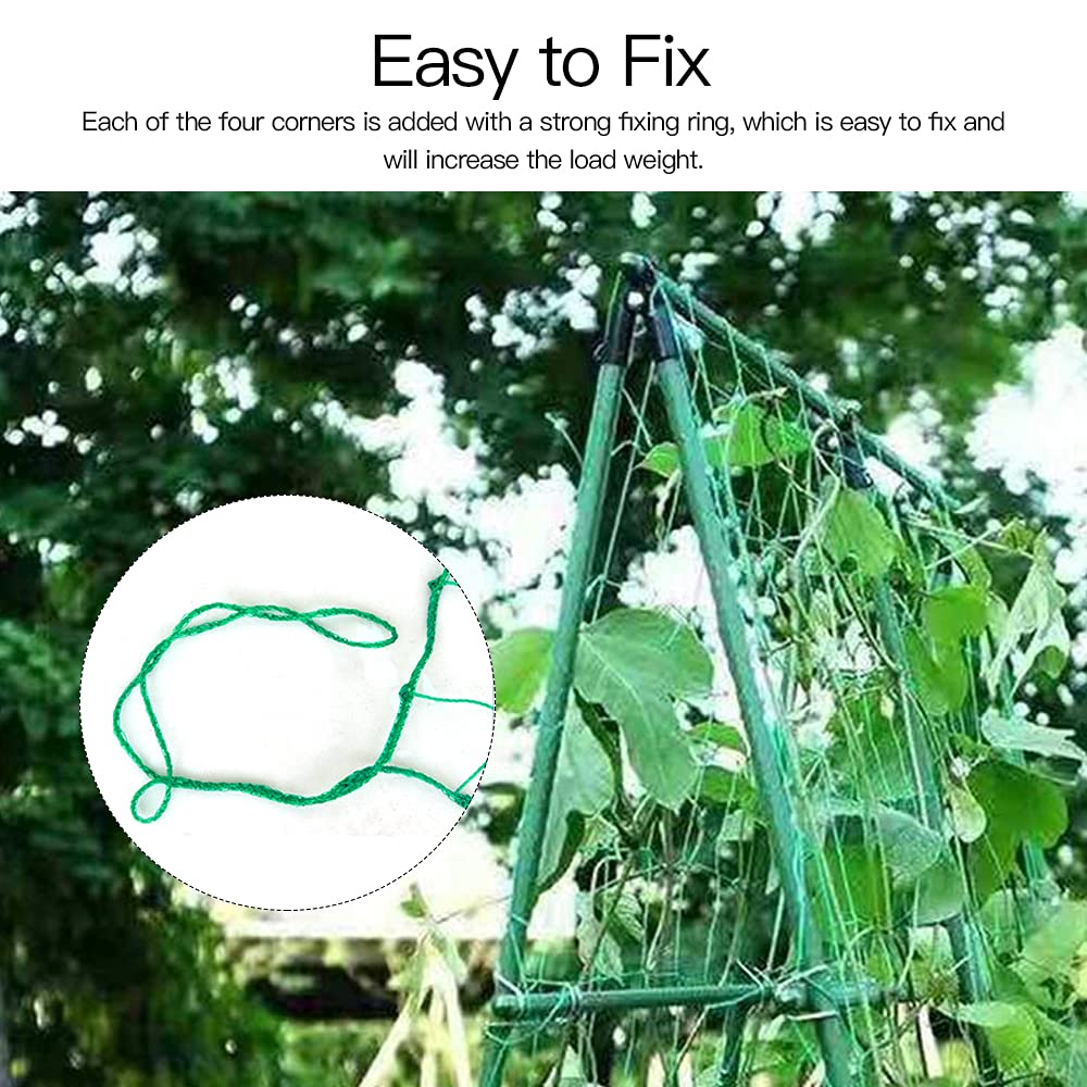Snapklik.com : Trellis Netting, PDGROW Climbing Plant Support Net ...