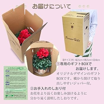 Mamama★カトラン★赤いテーブルの上のシクラメンと柿★リトグラフ★美品 Mamama☆カトラン☆赤いテーブルの上のシクラメンと柿