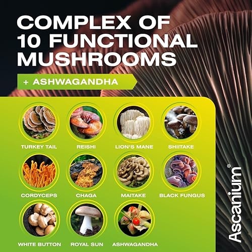 Miniatura 4 de Gomitas de hongos 10 mezclas de hongos  Cola de pavo Cordyceps Chaga Reishi Ashwagandha Lions Mane Suplemento de hongos  Suplemento de hongos para