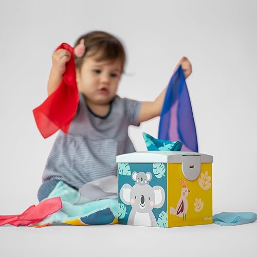 Vista 19 de Taf Toys Caja de pañuelos sensoriales para bebés, caja de permanencia de objetos, juego imaginario para bebés y niños pequeños, juguetes sensoriales