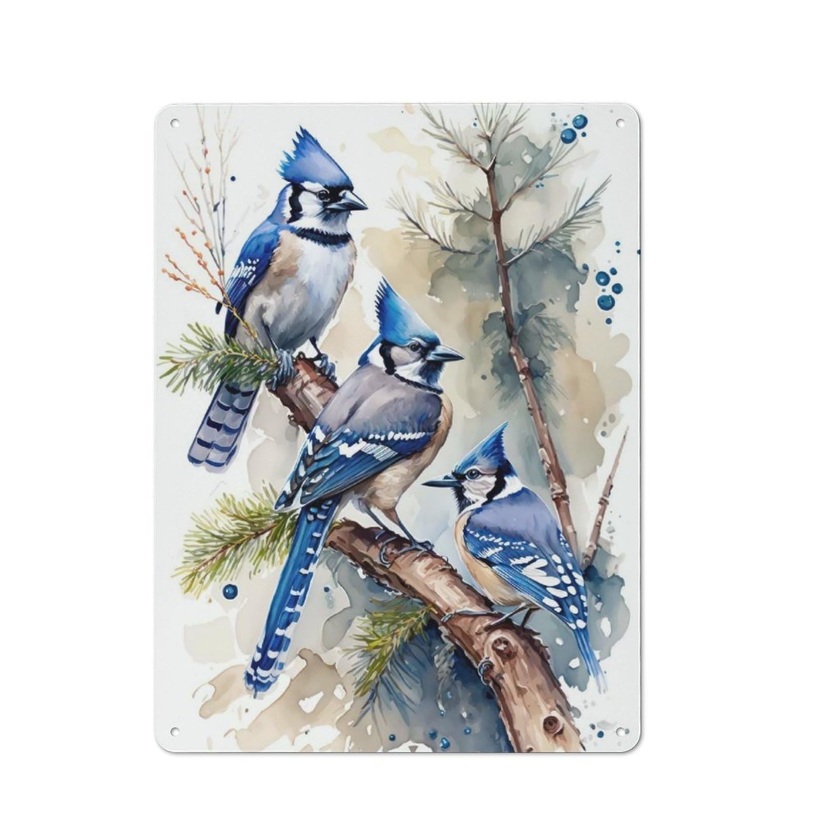 Watercolor Blue Jay Bird Industrial-style Tin Sign 40x30cm for Café Or Home Bar, for Cooler-month Interiors with Industrial Character