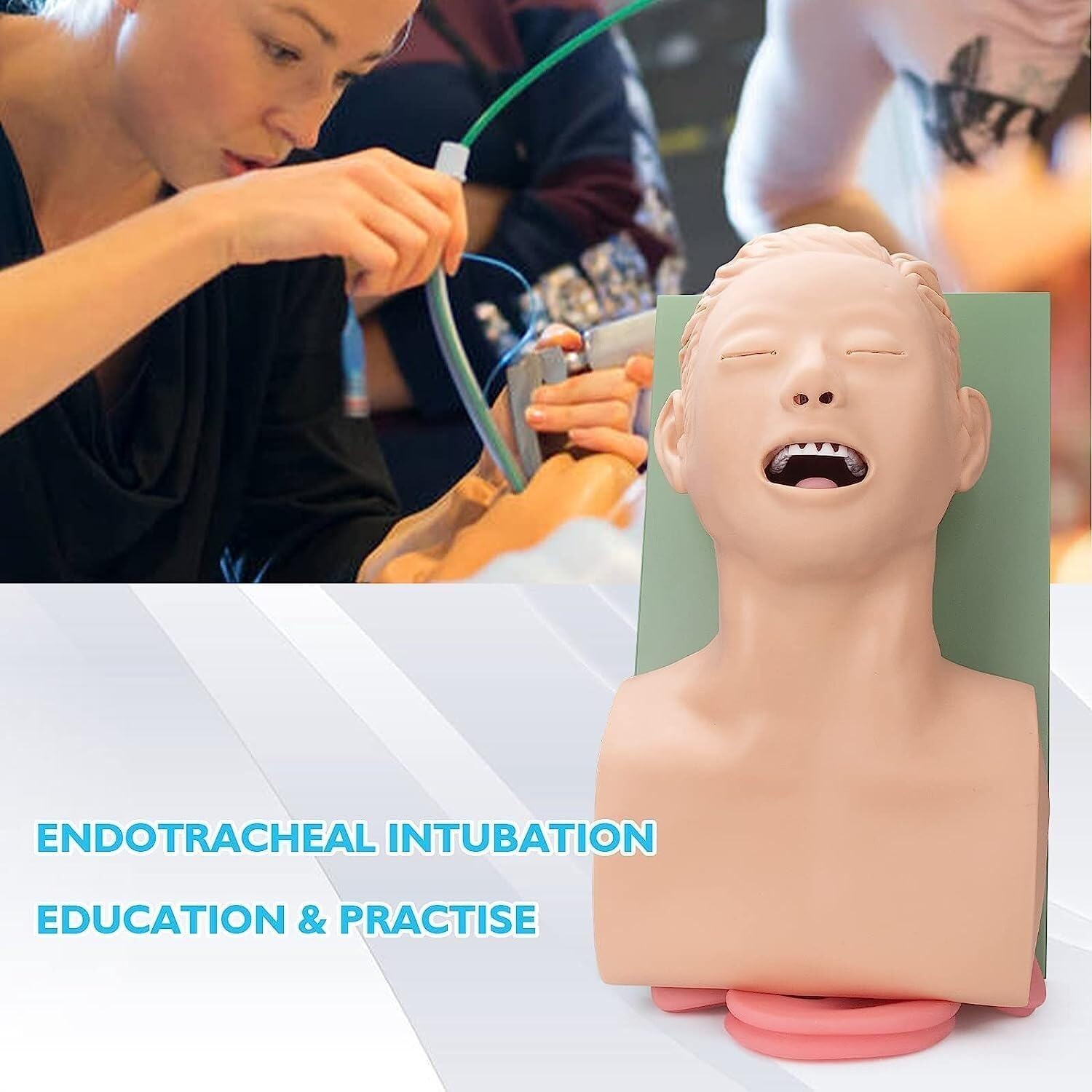 Simulatore di addestramento for la testa for intubazione tracheale for adulti Modello Trainer for la gestione delle vie aeree for intubazione nasale orale Silicone elettronico in PVC