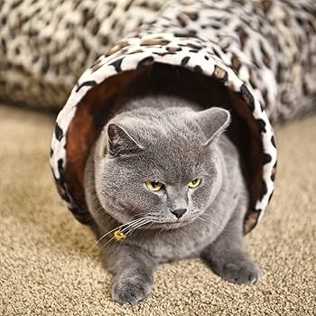 Amazon.com: PAWZ Road Leopard Print Cat Tunnel Crinkly