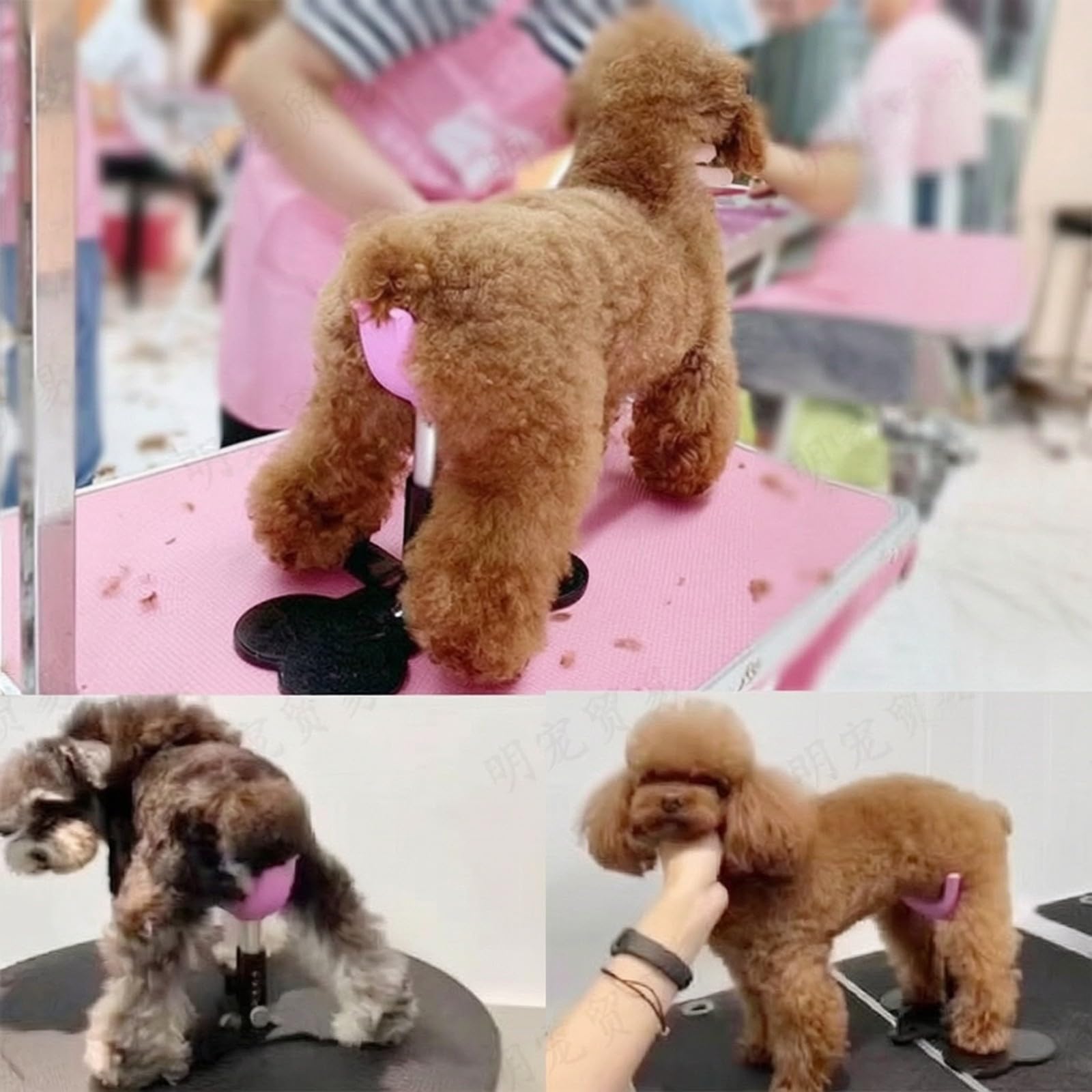 Hund Stehhilfe Stützständer Pflegegerät Verstellbarer Hundehalter Standhilfe Rutschfester Gummifuß Ergonomische Mulde für Hundefriseure Und Tierarztpraxen,