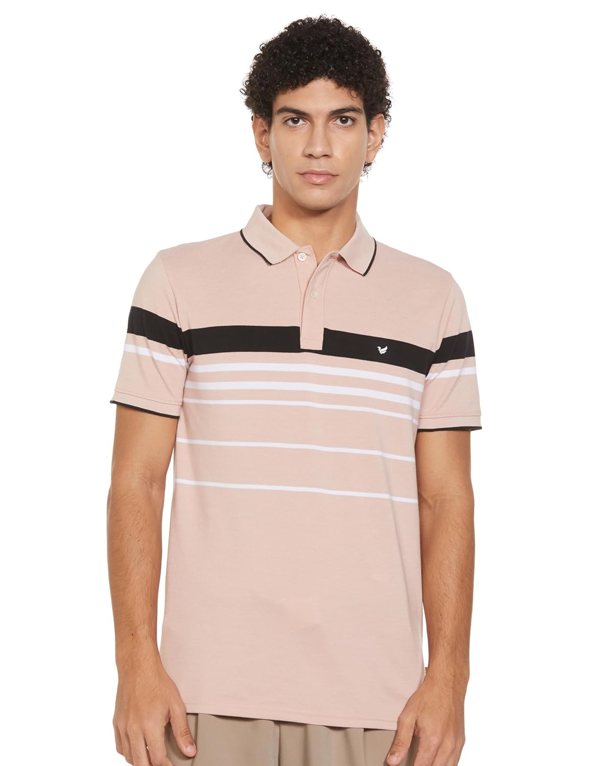 Blackberrys Men's Cotton Blend Horizontal-Stripes Slim Polo Tshirts - Review, Price and Buying Guide
