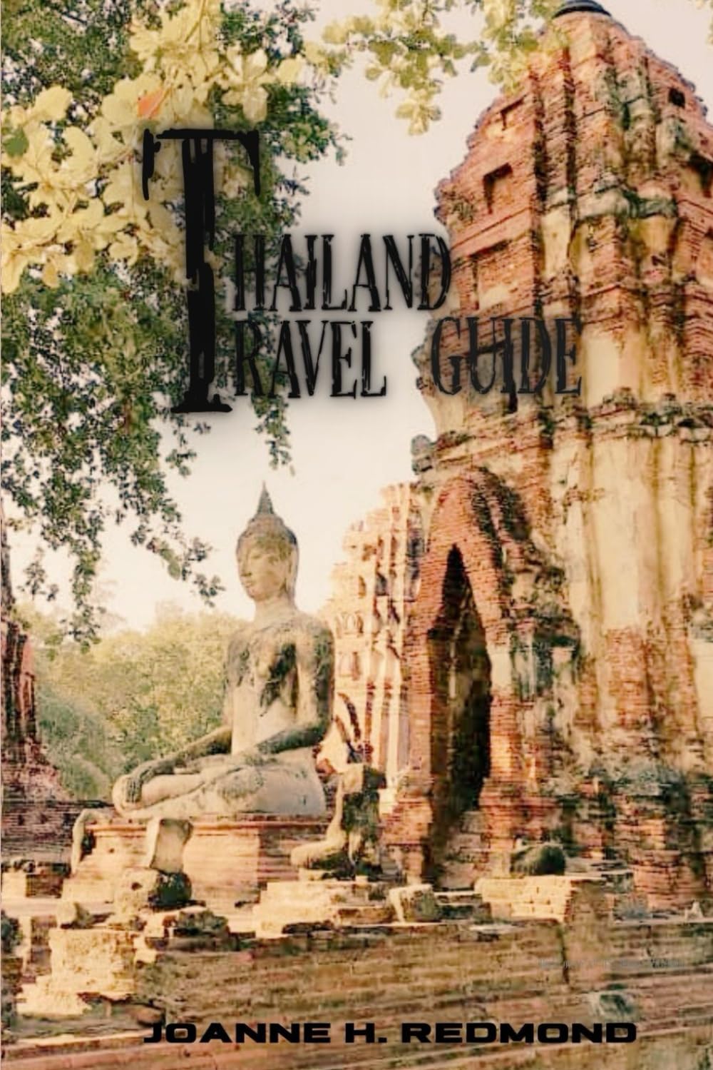 Thailand Travel Guide 2025: Everything and Anything for Your Solo Journey—Beaches, Temples, Wildlife, and Wellness from North to South