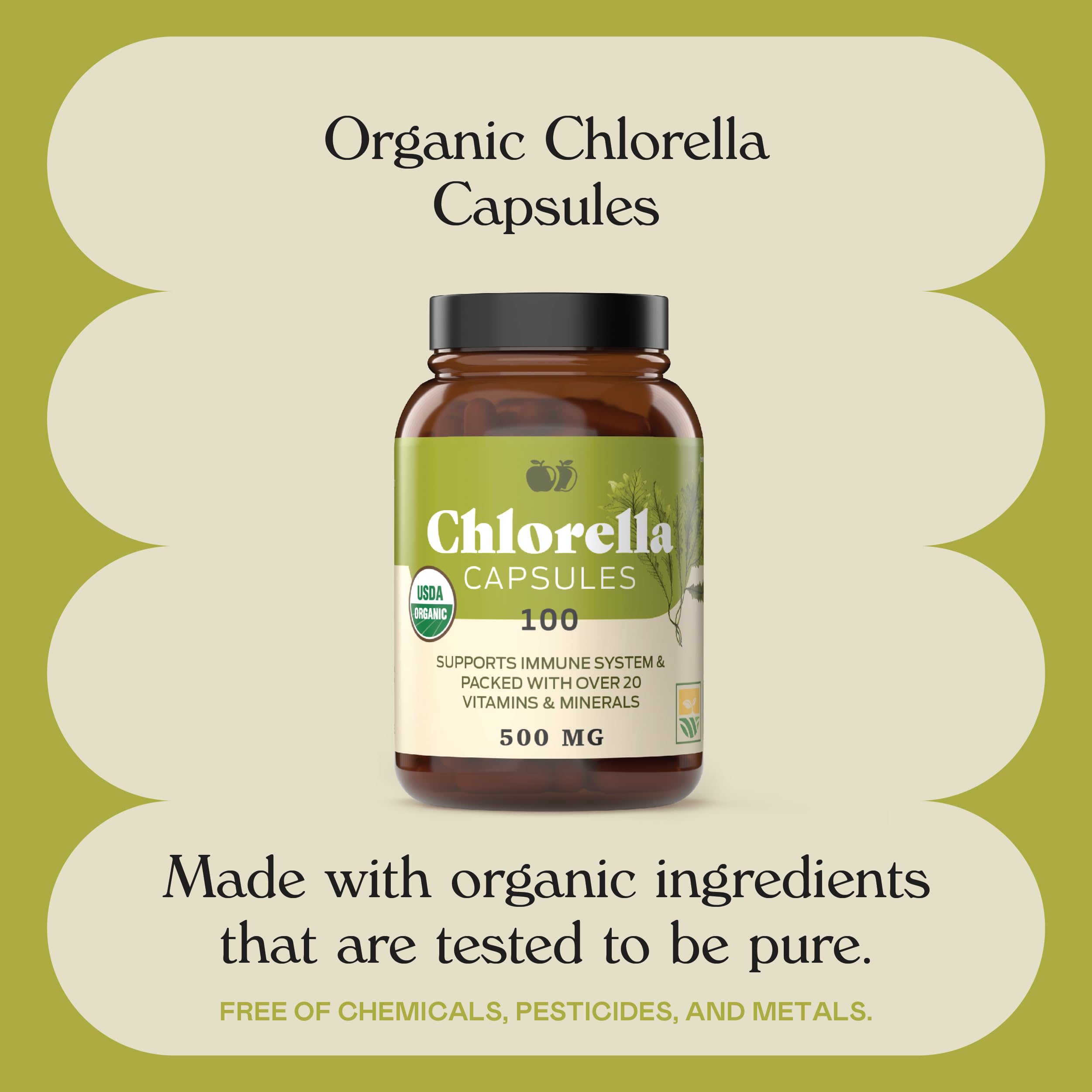 Complete Natural Products Organic Chlorella Capsules, 500mg, 100ct, Pure Green Algae Superfood, Detox & Immune Support, Vitamin B12 & Chlorophyll Rich, Plant-Based, Vegan, Non-GMO — Amazon image 10
