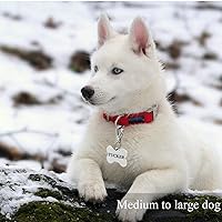 Vista 2 de Clips para placa de identificación para perro, paquete de 2 unidades, clip rápido de acero inoxidable 304 de varios tamaños con anillos/soporte