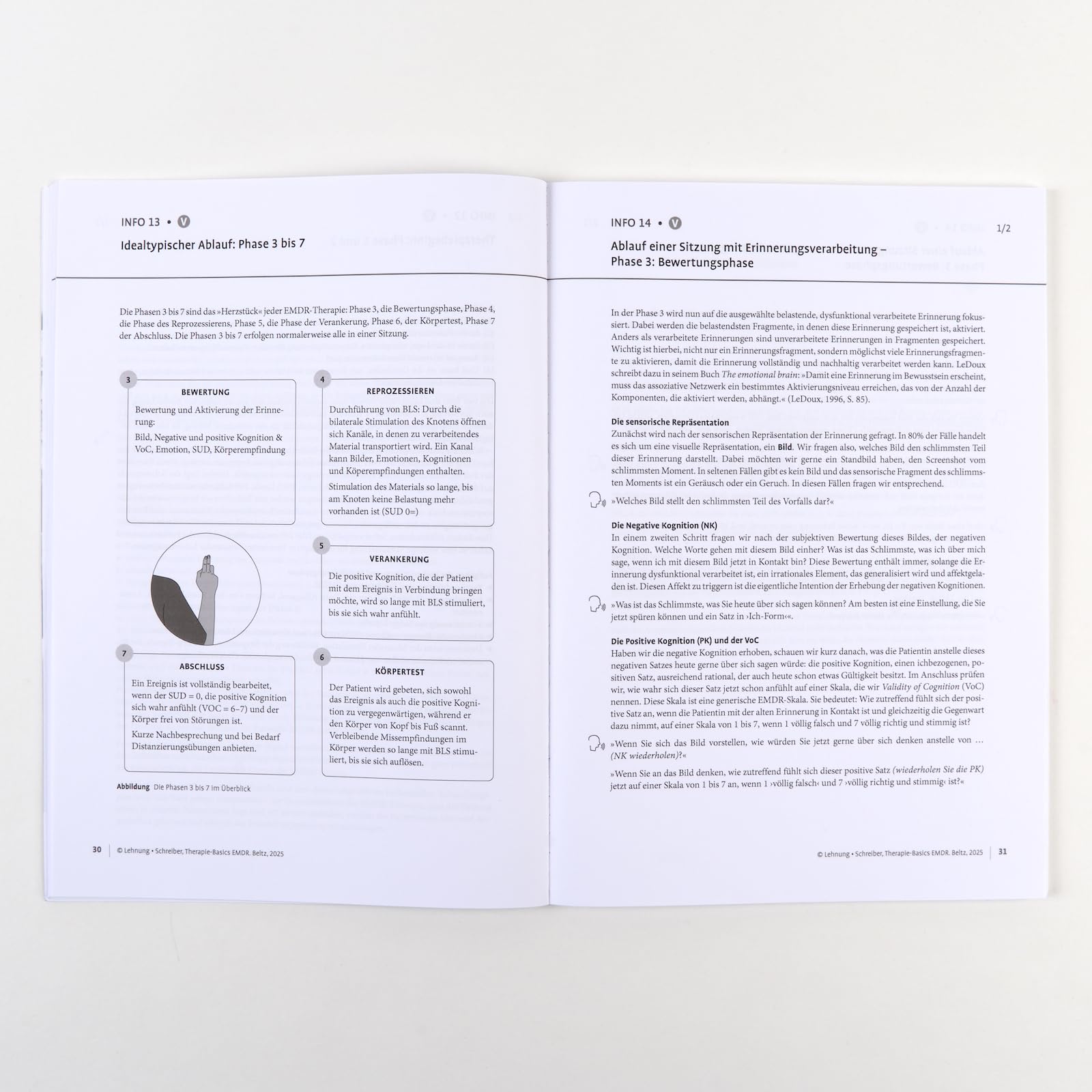 Therapie-Basics EMDR: Mit Online-Material (Beltz Therapie-Basics)
