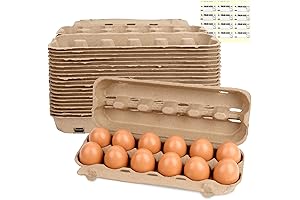 LOVEINUSA Paper Egg Cartons: Secure Storage for Your Precious Eggs!