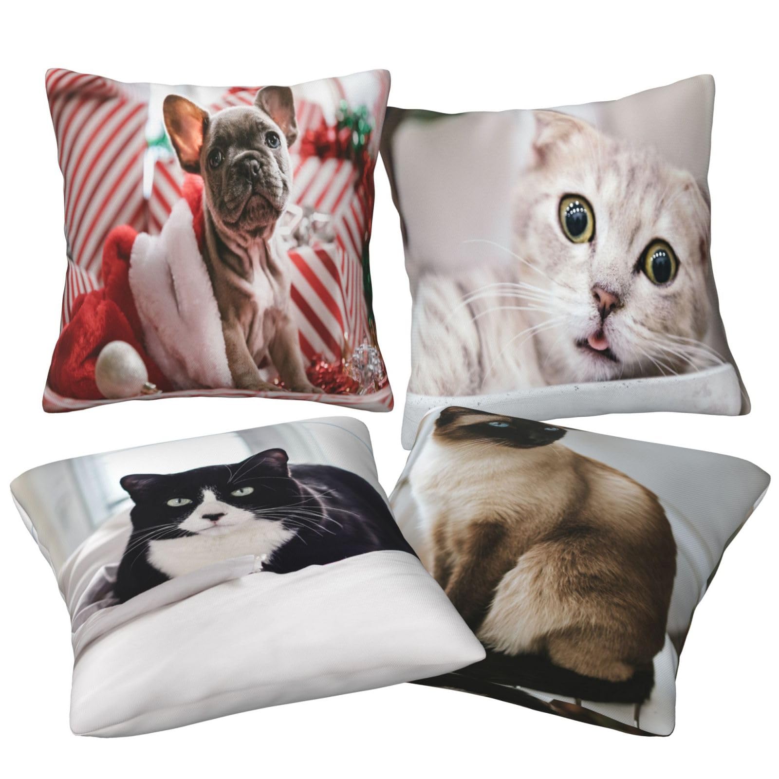 Fundas de Cojines Juego de 4 60x60cm Funda Cojin Felpa Corto Gato Cojines Decoracion Perros Fundas de Cojín Cuadradas Impresión Doble Cara con Cremallera Oculta,para Sofá Cama Decoración Hogar24x24in