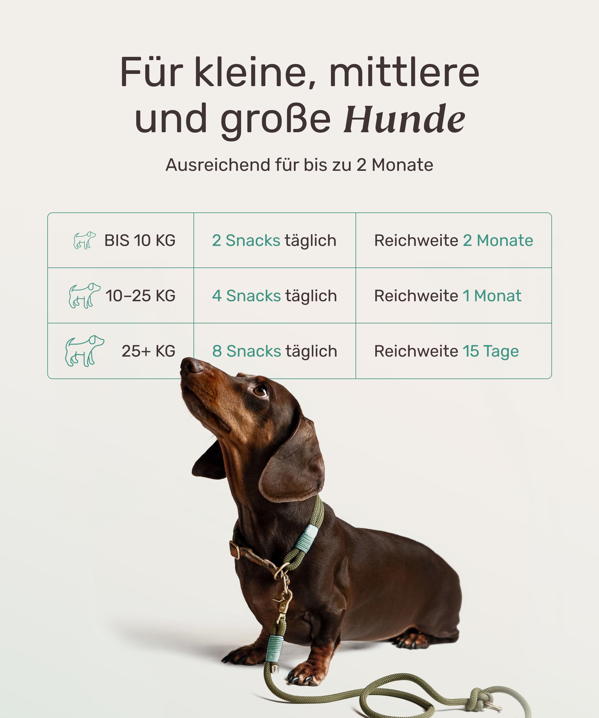 10-in-1 Zahnpflege Leckerli für Hunde - Fresh Smile 120 Snacks (350g) von mammaly - Gegen Mundgeruch, Zahnstein mit Pfefferminz, Seealge, Vitamin C, Petersilie u. v. m. für Maulhygiene, Mundpflege