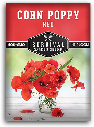 Miniatura 8 de Paquete de 5 semillas de amapola de maíz rojo para plantar, paquete con instrucciones para cultivar amapolas Fl&ers Remembrance en tu huerto casero,