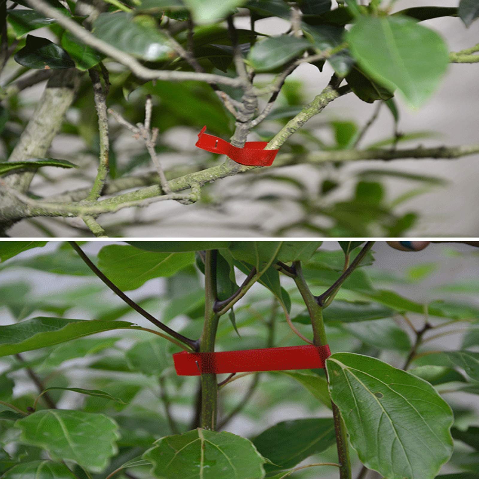 Planta Mano Atar La Máquina Jardín Tape Tool, Profesional Agricola Vid Atar Cinta Máquina para Atar Ramas de Planta, para Atadora de Tomates Vegetales Viña Máquina para Atar Tomates,Mode1