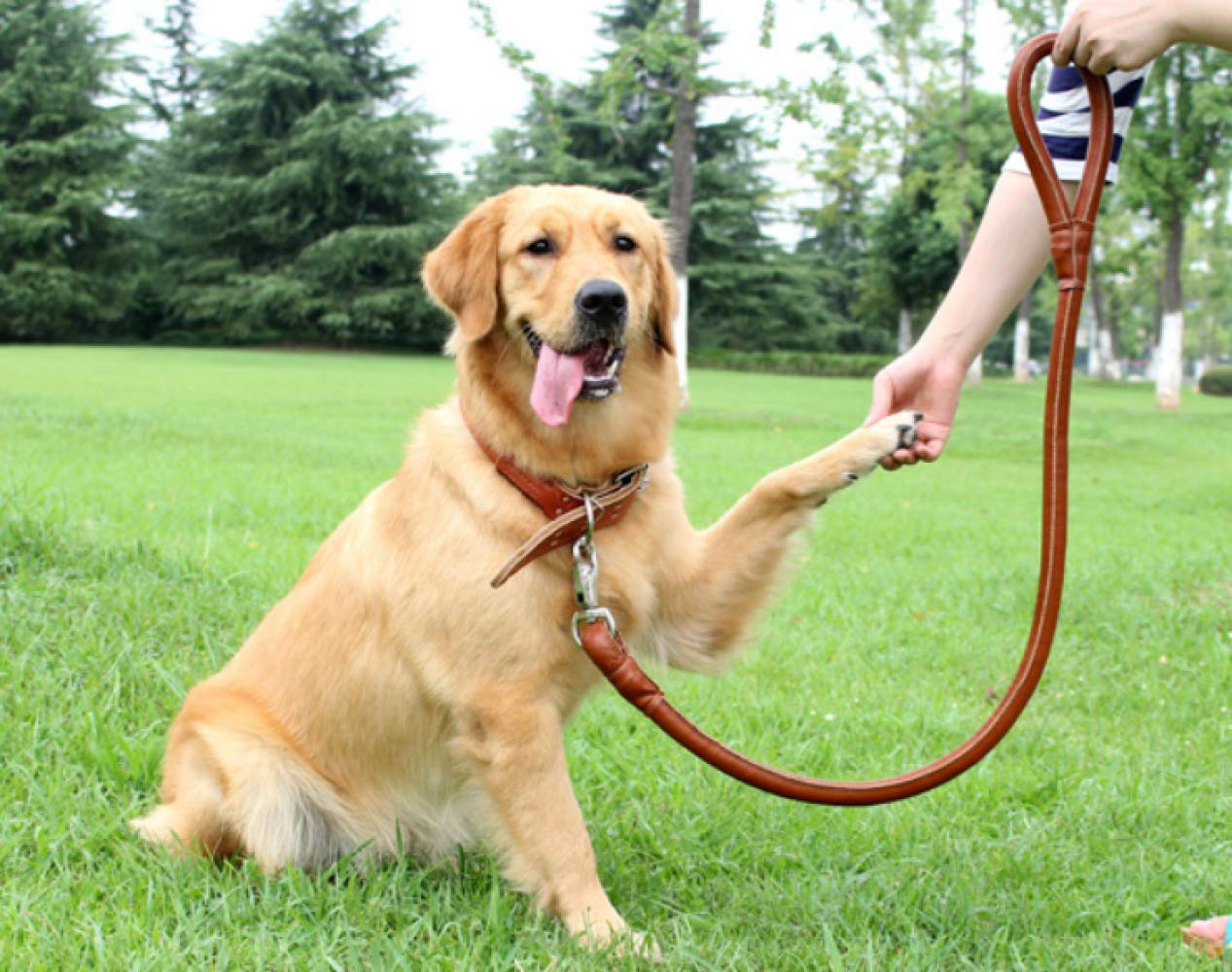 Correa para Mascotas Cuerda De Tracción para Mascotas para Perros De Tamaño Mediano con Collar, Cadena para Perros, Cuero, Cuerda para Perros, Paseo para Perros, Cuerda para Perros,