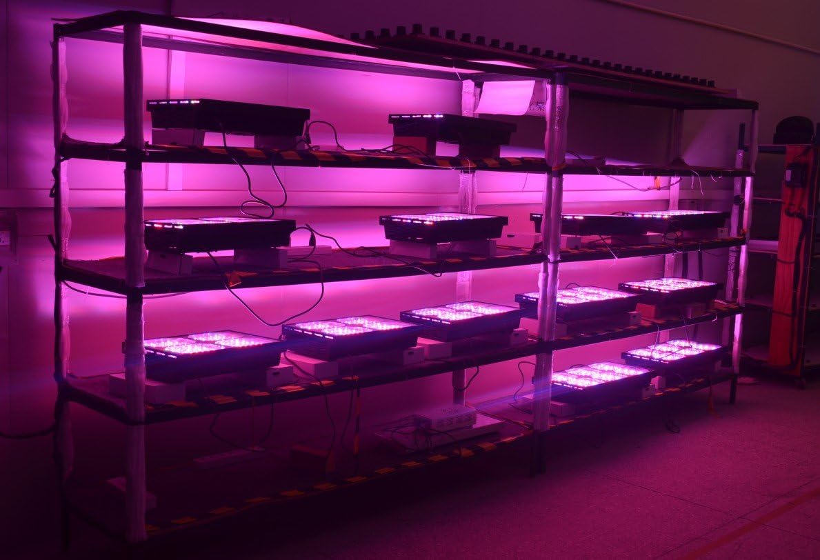 Matrix Series Led Grow Light Full Spectrum for Greenhouse Hydroponic Indoor Plants Veg and Flowers 4 switches Control