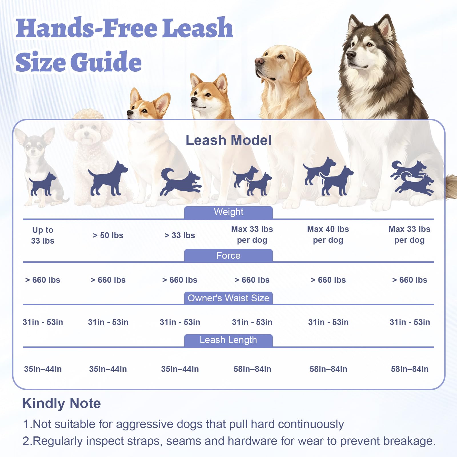 Double laisse mains libres pour deux chiens - Sans nœuds - Sans traction - Ceinture rembourrée réglable et coutures réfléchissantes - Idéale pour la course, le jogging, la randonnée avec des