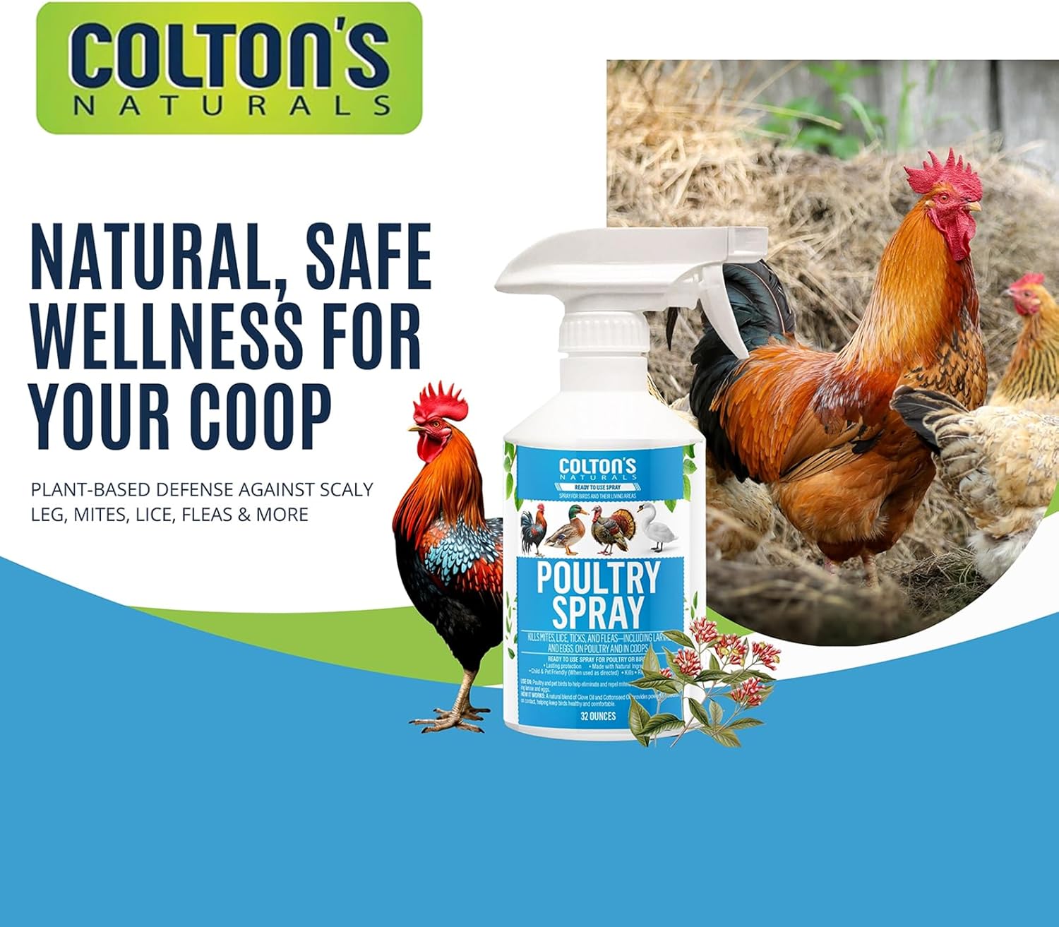 Colton’s Naturals Poultry Spray 32 oz – for Chickens – Helps with Mites, Lice, Fleas & Scaly Leg – Safe for Coops, Birds & Backyard Poultry