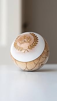 Amazon | LOTUS けん玉 ロータス リョウガ チャンピオン モデル