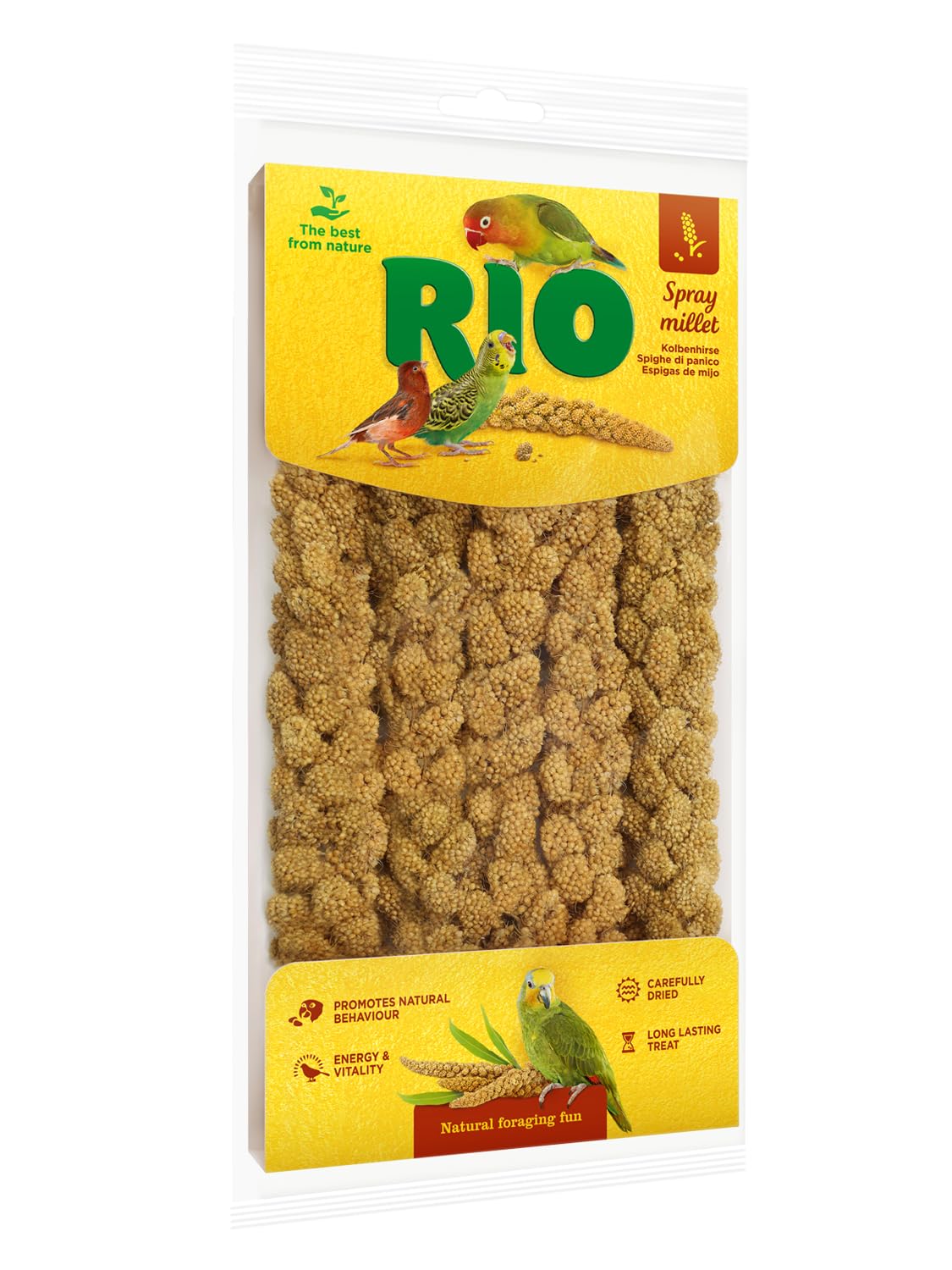Rio Spray Millet Natural Feed (100 GMS (Single Pack))