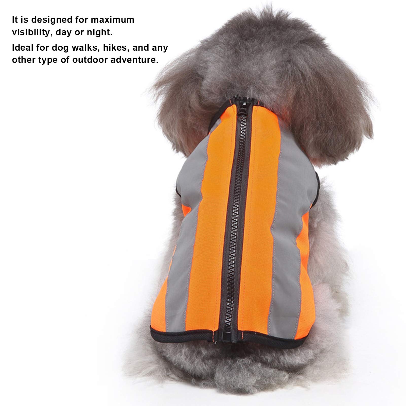Gilet Réfléchissant de Sécurité pour Chien, Veste Lumineuse Fluorescente Haute Visibilité pour Les Promenades Nocturnes, Gilet à Fermeture éclair pour Animaux de Compagnie pour(XL-Orange Fluo)