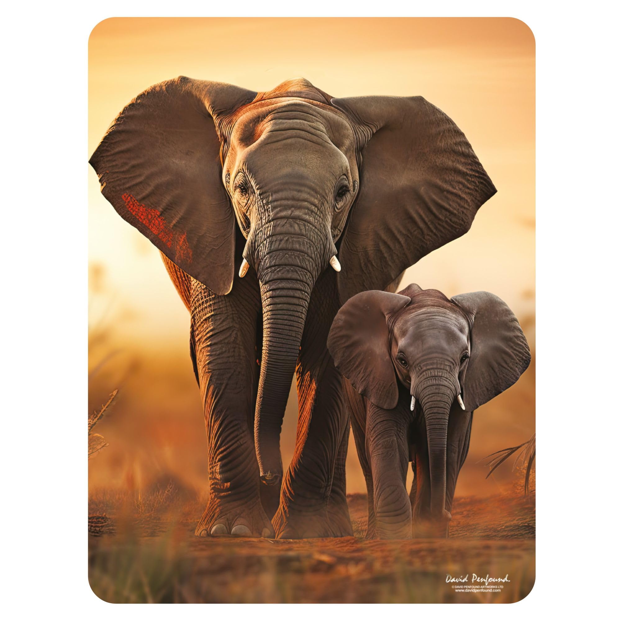 3D LiveLife Notebook - Wonders Of The Reef Ocean By Deluxebase - 80 Pages - 11x8.5in Lenticular Note - View #9