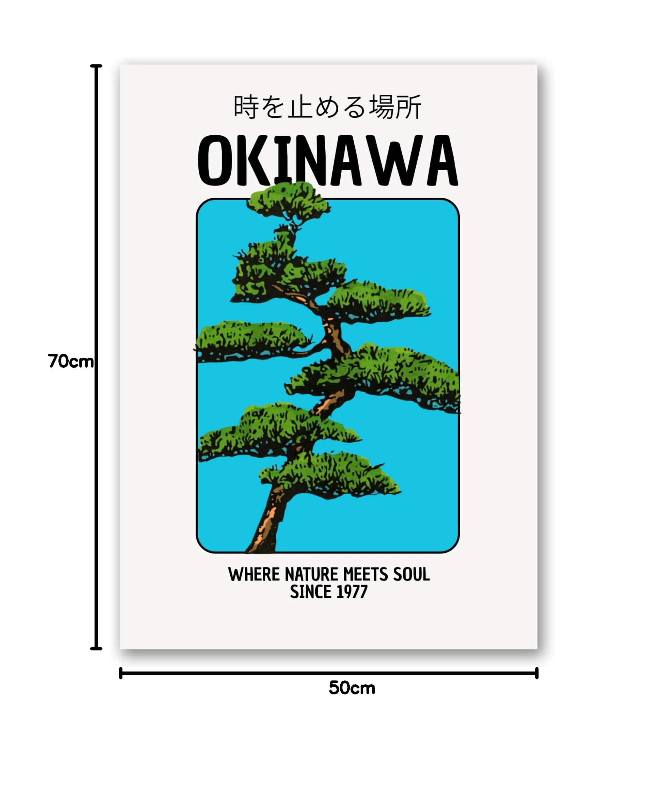 SALVADERO Affiche Okinawa Poster Art Japonais Bonsaï Kanji Art Mural 250g/m² Mat 70x50 cm Sans cadre