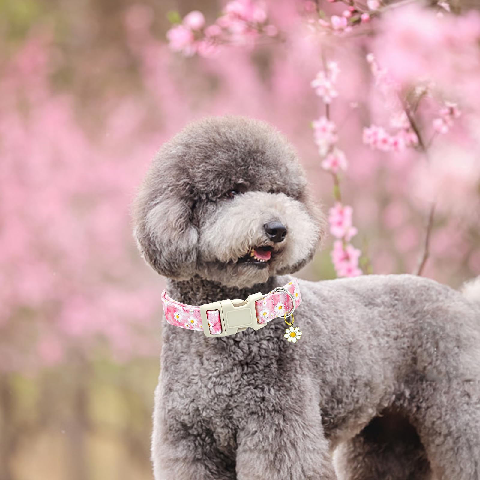 Dog Collar-Pink Floral Pattern Dog Collar Cute Flower Dog Collars Female Heavy Duty Adjustable Collars for Small Dogs Pet Gift Summer Spring Dog Collars