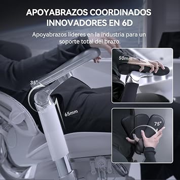 SIHOO Doro S300 Ergonomic Office Chair with Coordinated Body Support