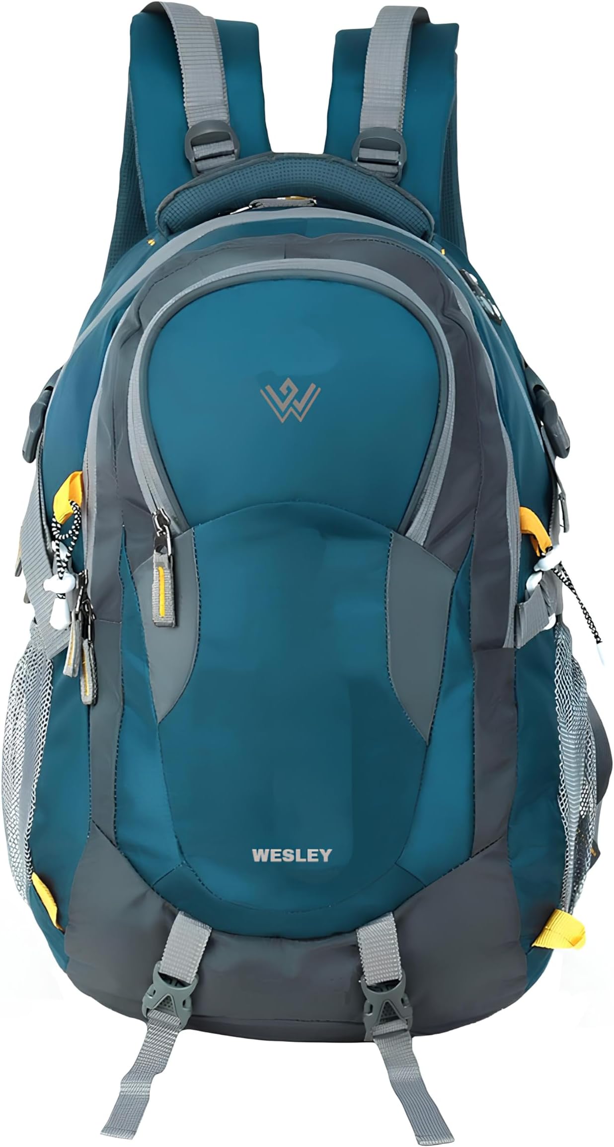 Wesley Spartan Unisex Travel Hiking Laptop Bag fits Upto 17.3 inch with Raincover and Internal Organiser Backpack Rucksack College Backpack