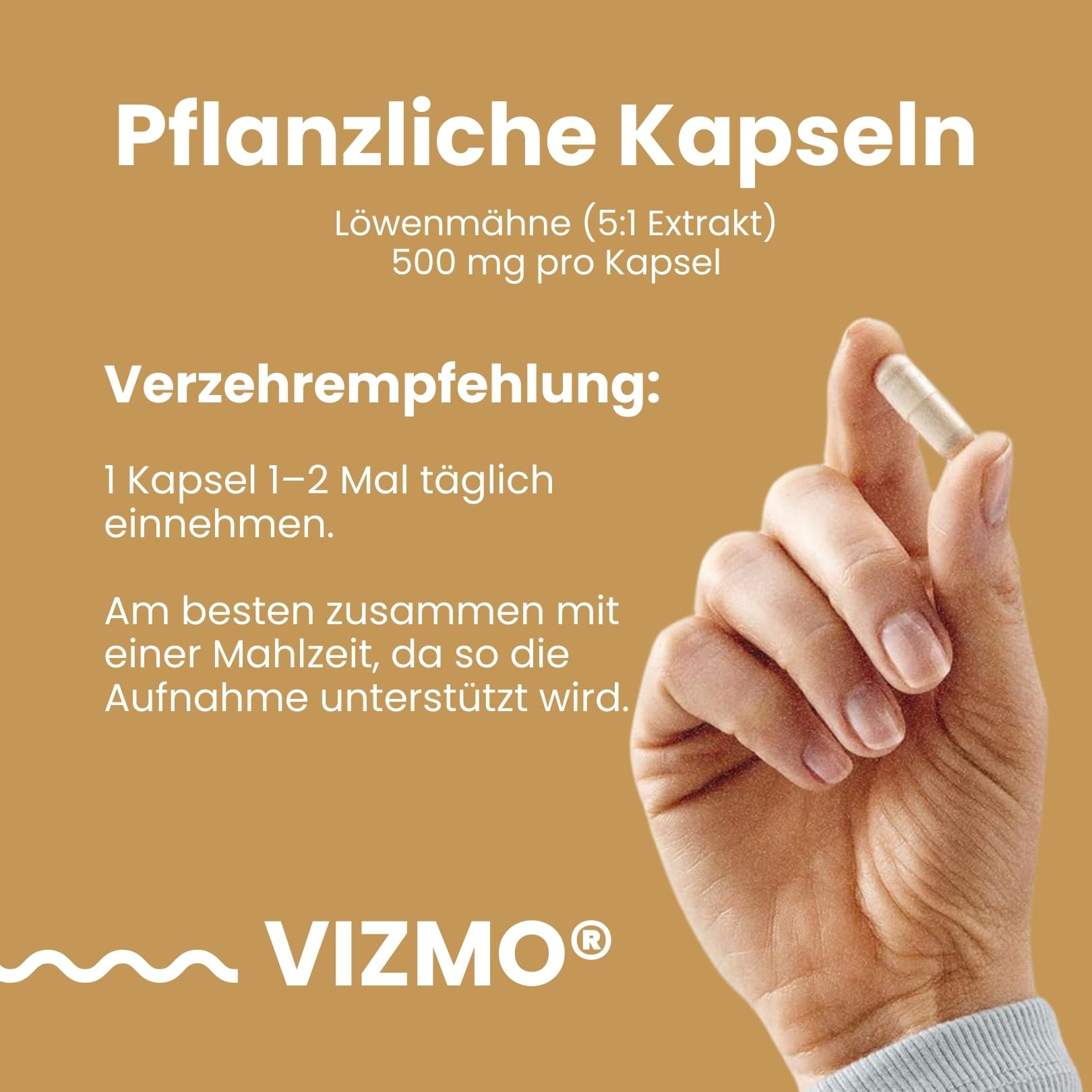 Kognitive Funktions- & Fokus-Stack (2-in-1) für Fokussuchende mit aktivem Lebensstil – Uridinmonophosphat & Löwenmähne-Pilzextrakt für tägliche mentale Klarheit und strukturierte Fokusunterstützung