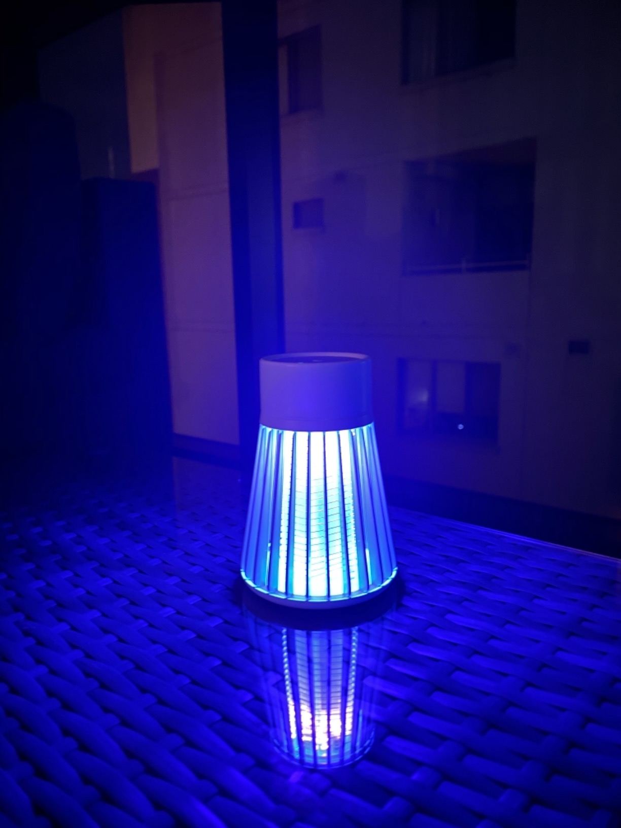 BUZZBGONE Zapper Portable Bug Zapper LED Light Mosquito Killer