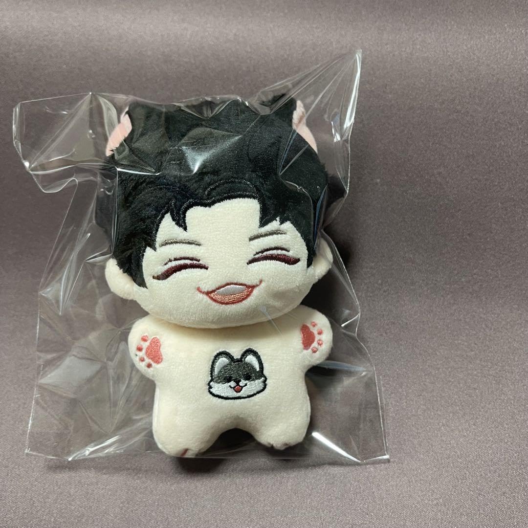 stray kids バンチャン ぬいぐるみ 10cm 新品 マスター 【公式通販】