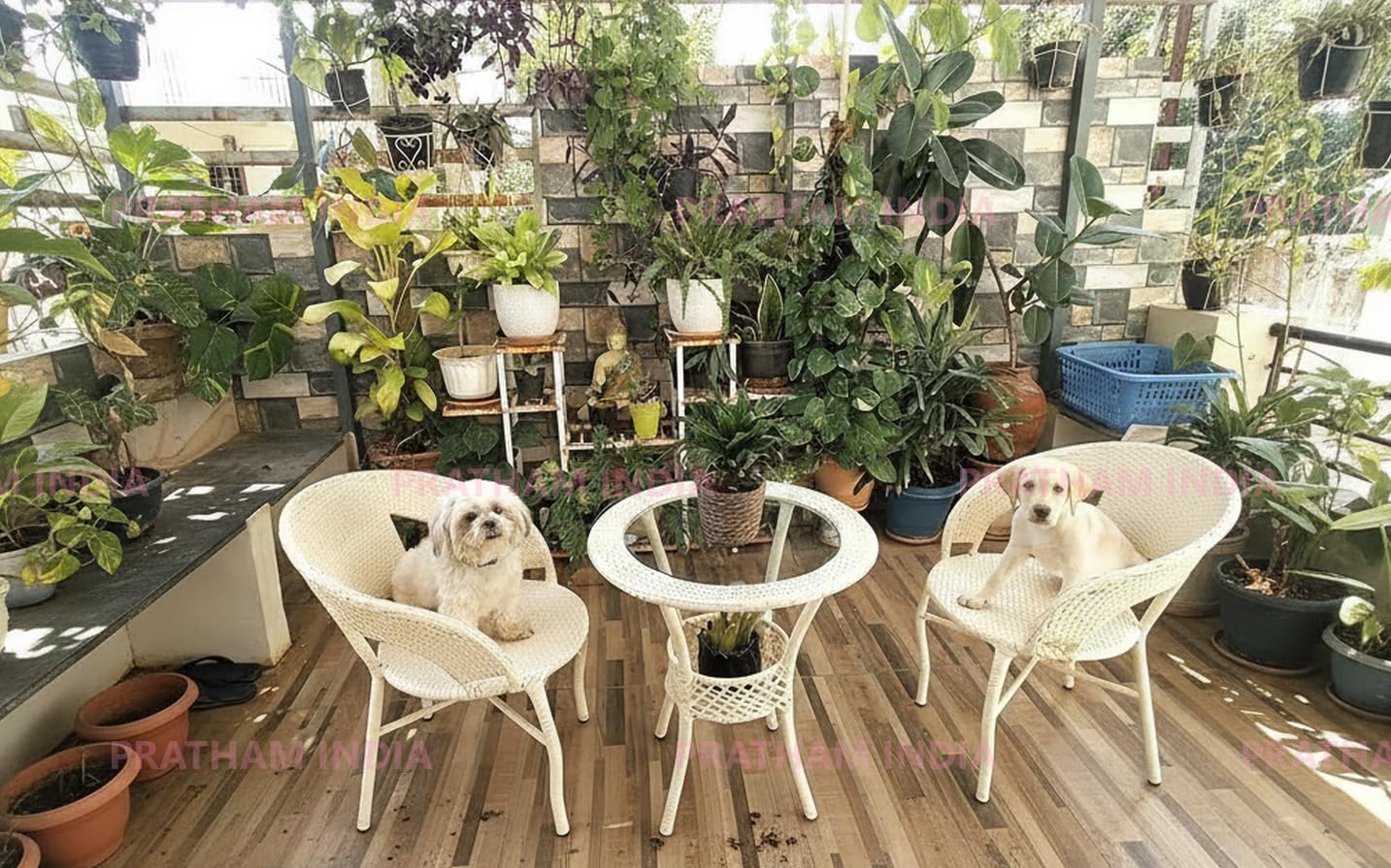 APK E-STORE Rattan & Wicker Garden Patio Seating Chair and Table Set Outdoor Indoor Lawn Balcony Garden Tea Coffee Table Set Furniture with 2 Chairs and 1Table Set Cream Color