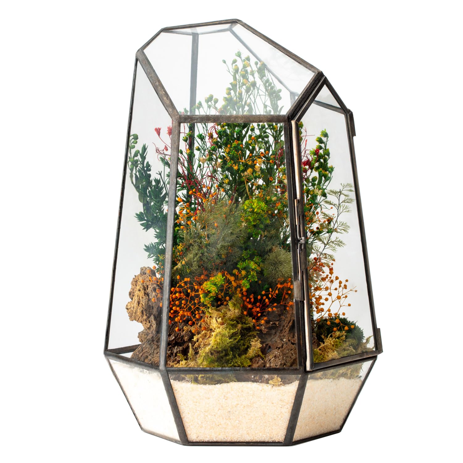 Terrario Stabilizzato Hyde in Vetro Forma Diamond, completi di Fiori e muschi Stabilizzati Arredo Naturale Elegante Senza Manutenzione per Casa, Ufficio e Idee Regalo Green