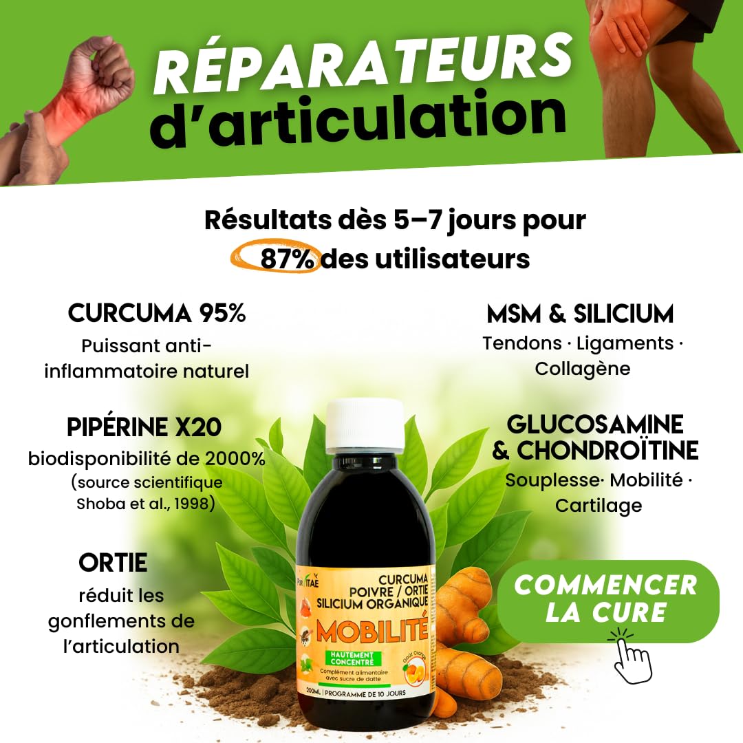 Mobilité XL Articulations Pur Vitaé – Curcuma + MSM + Glucosamine + Chondroïtine + Silicium Organique – Tendons, Cartilage & Inflammation – Hautement Concentré – Goût Orange – 500 ml